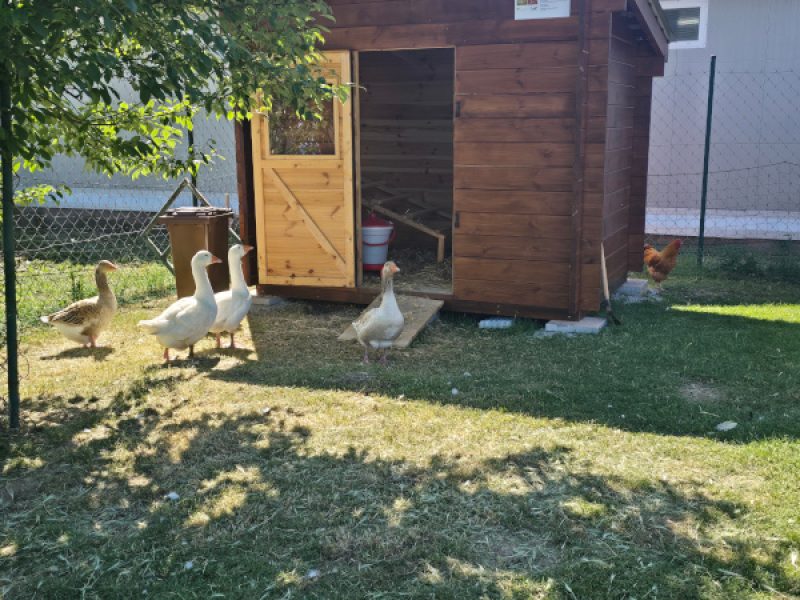 20260529_095136_zmenšené