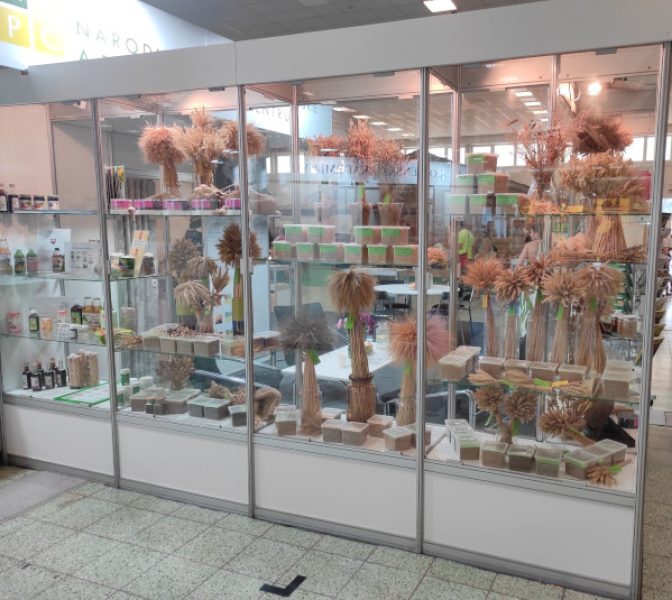 AX-2024 141_zmenšené