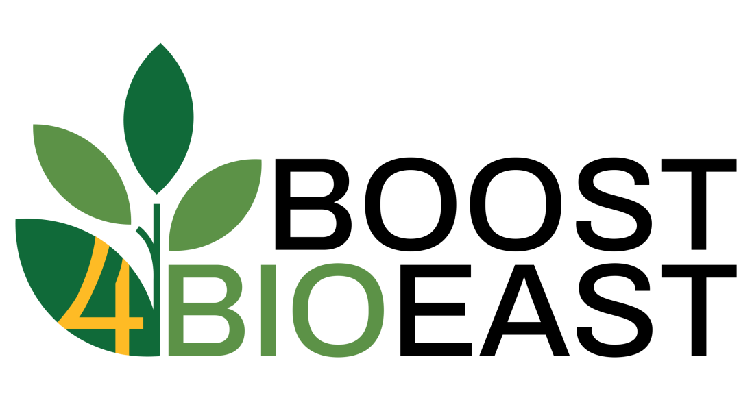 BOOST4BIOEAST LOGO