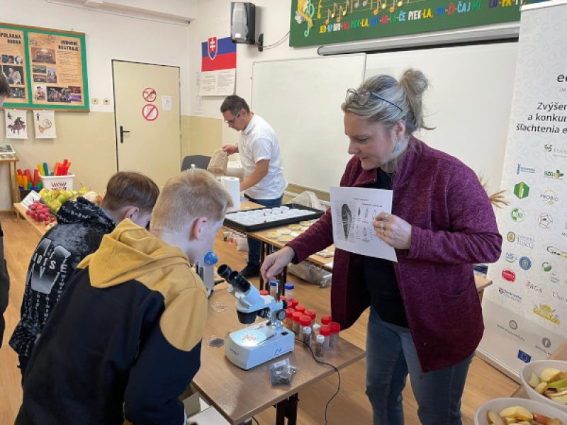 IMG-20241212-WA0002_zmenšené