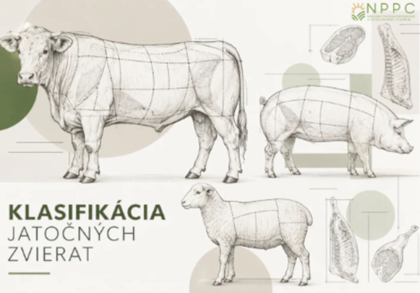 Jatočné zvieratá_