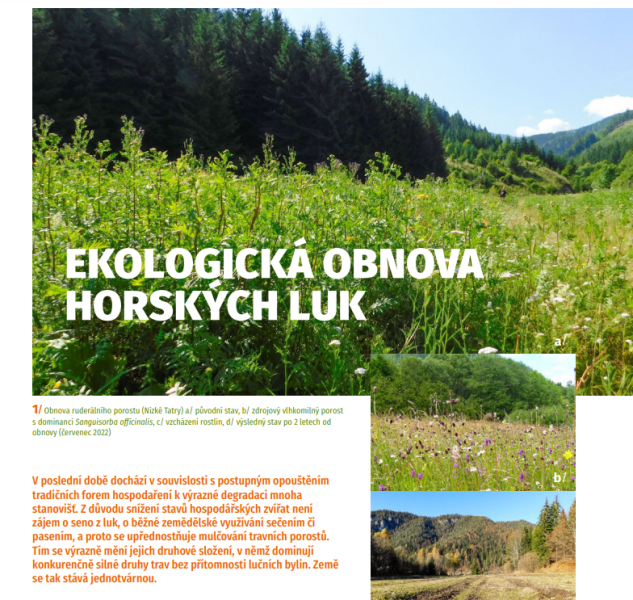 Martincová_NB_1_2024_článok