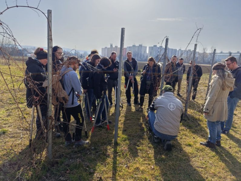 ef609699-284b-4012-9a2b-fefe06eda30d_zmenšené