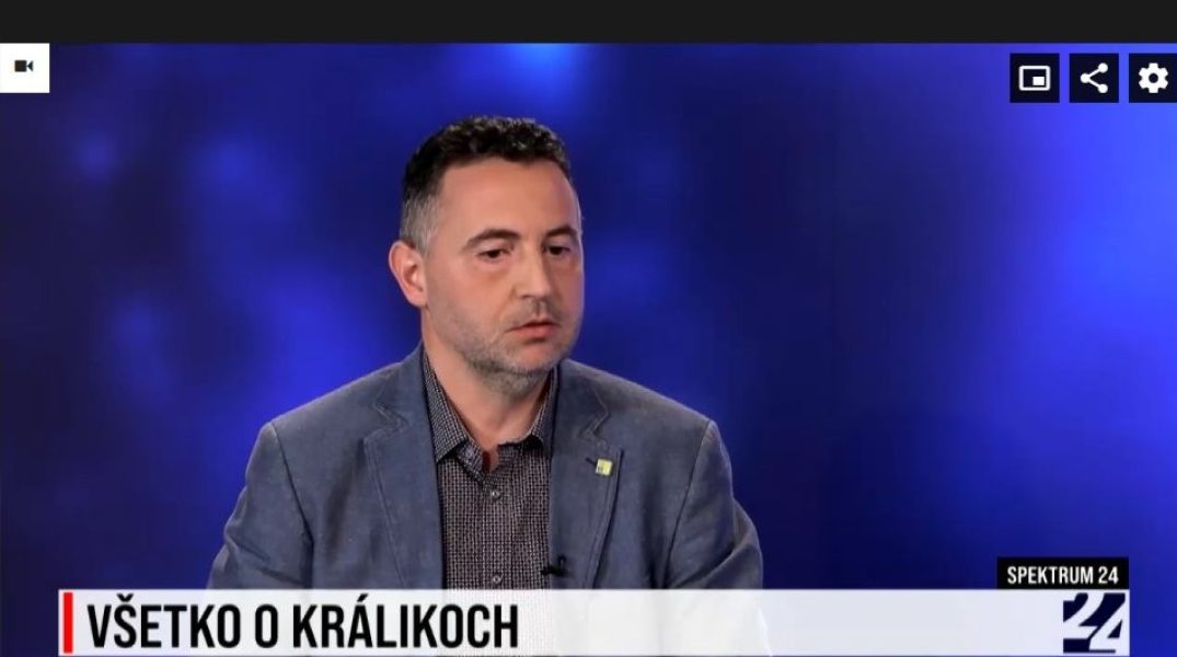 vsetko_o_kralikoch